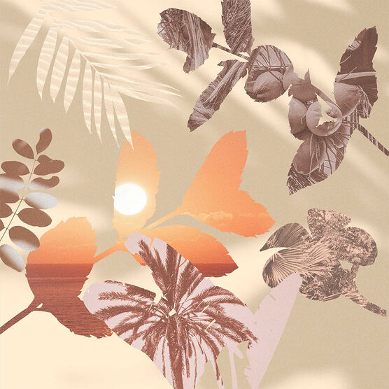 JML COLONIA BEACH BLOSSSOM 100ML